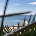 Supreme 巴尔奇克